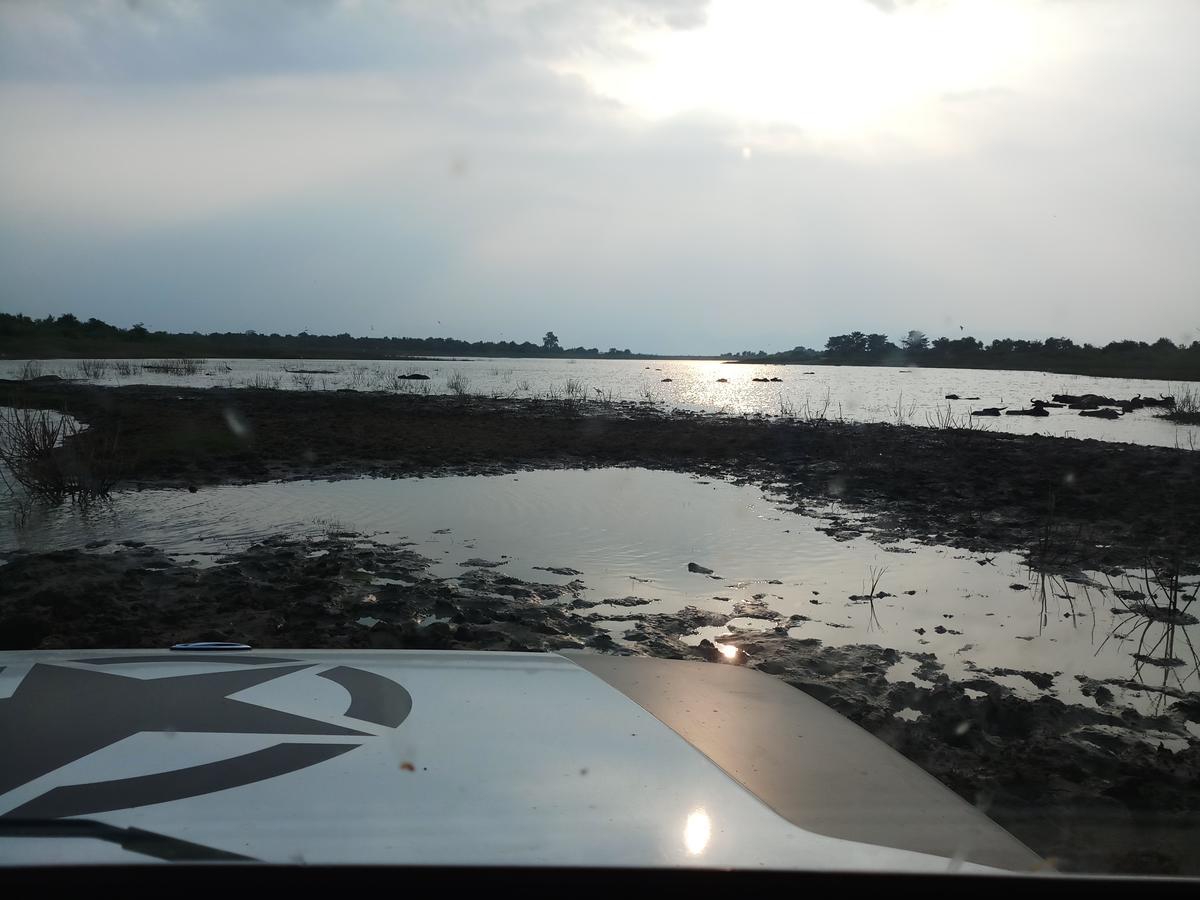 Cassia Udawalawe Hotel Buitenkant foto